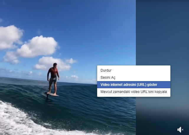 Facebook Video İndirme