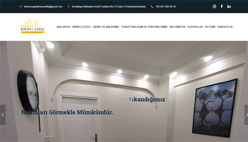 Birinci Çoğul Danışmanlık